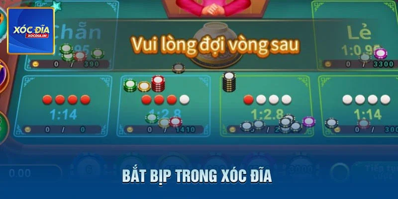 Bắt Bịp Trong Xóc Đĩa - Chiêu Độc Không Phải Ai Cũng Biết