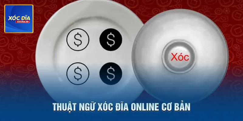 Các thuật ngữ cơ bản cần nắm trước khi đặt cược