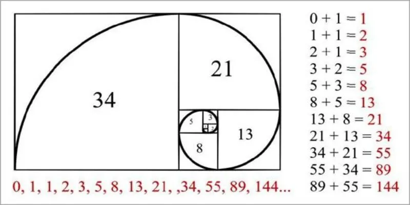 Công thức Fibonacci trong xóc đĩa là vô cùng thú vị