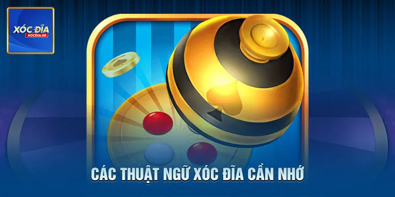 Ghi nhớ các thuật ngữ cơ bản tự tin săn tiền thưởng