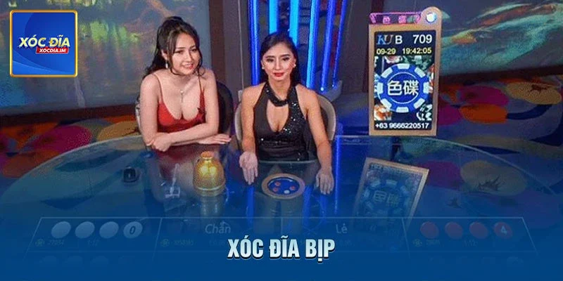 Xóc Đĩa Bịp - Lưu Ý Cần Nắm Khi Áp Dụng Phương Pháp